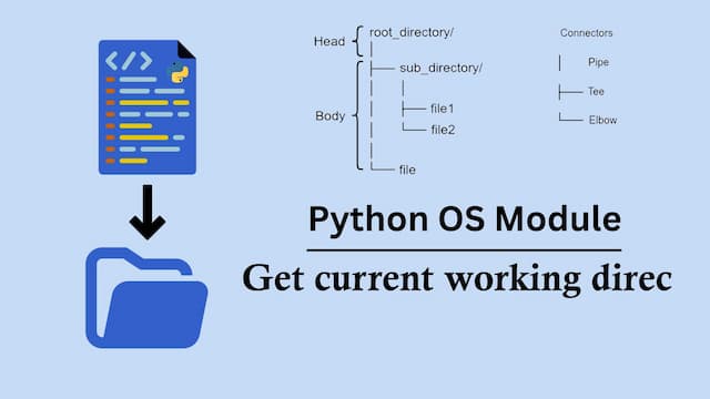 current working directory python